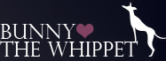 BUNNY THE WHIPPET